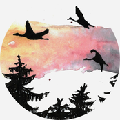 Nur was, ist die Frage