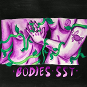 Bodies