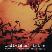 Transmission by Individual Totem
