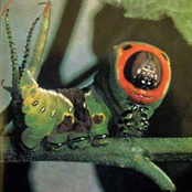 Parables For The Esoteric