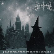 Phantasmagoria of Winter Wizard