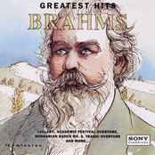 Michael Tilson Thomas: Brahms: Greatest Hits