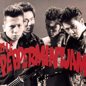 スライスチーズ by The Peppermint Jam