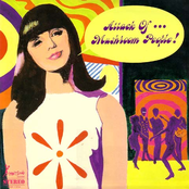 Attack Of ... Mushroom People