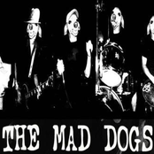 the mad dogs