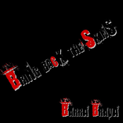 Bring Back The Skins