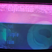 not purple rain