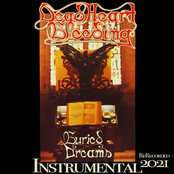 Buried Dreams (Instrumental ReRecorded 2021)