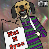 Not Gay I Swear / The Country Song