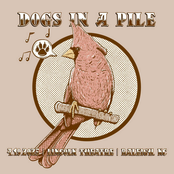 Live 4.19.2025 (Raleigh, NC)