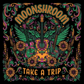 MoonShroom: Take a Trip