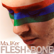 Flesh & Bone
