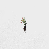 We Dreamed to Each Other