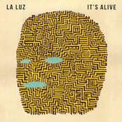 Sure As Spring by La Luz