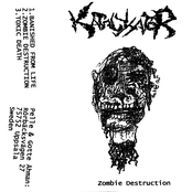 Zombie Destruction