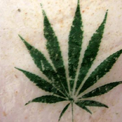 Ministry Of Sound - EP