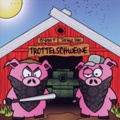 Trottelschweine