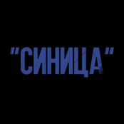 Синица
