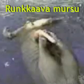 Mursu EP