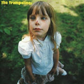 The Trampolines