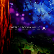 30 - free ambient electronic sampler