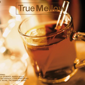 True Mellow 3 CD Set