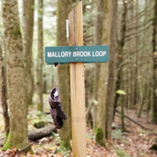 Found At Mallory Brook