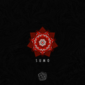 Sumo