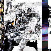 The Goose / Kenneggy