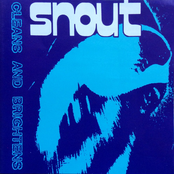 Cleans and Brightens