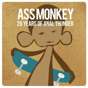 Ass Monkey