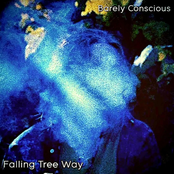 Barely Conscious