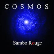 COSMOS