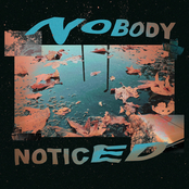 Nobody Noticed