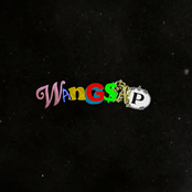 WANG$AP