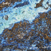 Swallowing A Sunflower