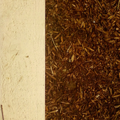 Fingernails - Single