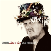 Zucchero - Voci (namanama Version)