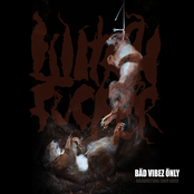 Bäd Vibez Önly - Aufarbeitung einer Krise