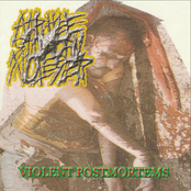 Violent Postmortems