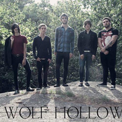 Wolf Hollow