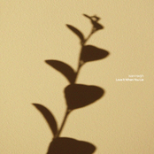 Love It When You Lie