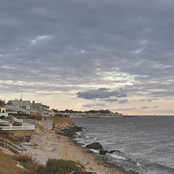 Friendly, Not Friends - Single