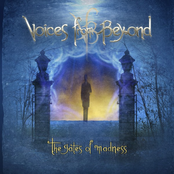 The Chosen by Voices From Beyond