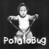Potatobug