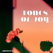 Tones of Joy