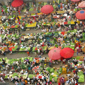 John Morgan Kimock: Hikikomori