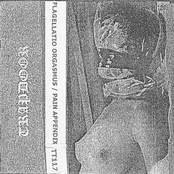 Degenerate Elektroniks