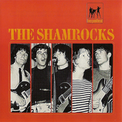 The Shamrocks: The 60's Beat