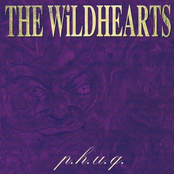 Jonesing For Jones by The Wildhearts